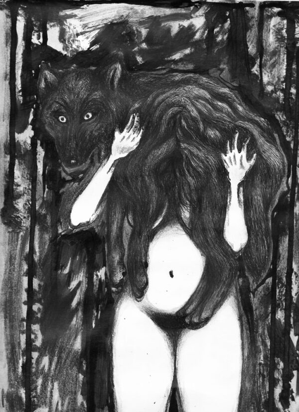 Bestiaire de l'angoisse, le livre – Image 13