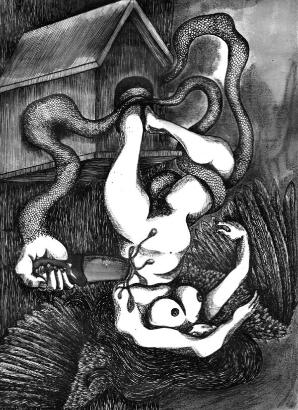 Bestiaire de l'angoisse, le livre – Image 3